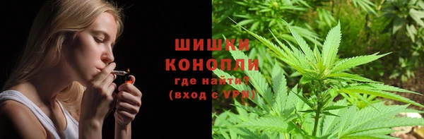 крисы Няндома