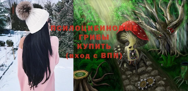крисы Няндома