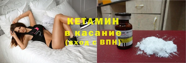 крисы Няндома