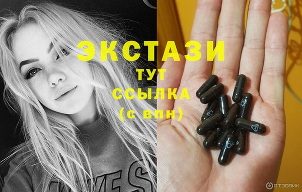 крисы Няндома
