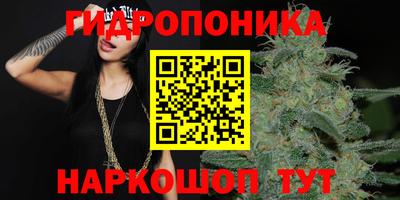 прущая мука Кандалакша