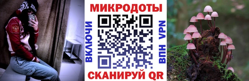 ссылка на мегу ССЫЛКА Узловая Псилоцибиновые грибы Magic Shrooms