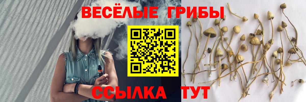 Узловая  Галлюциногенные грибы Cubensis  Галлюциногенные грибы Psilocybine cubensis  Вход с VPN 